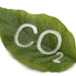 Carbon-dioxide-leaf_compressed